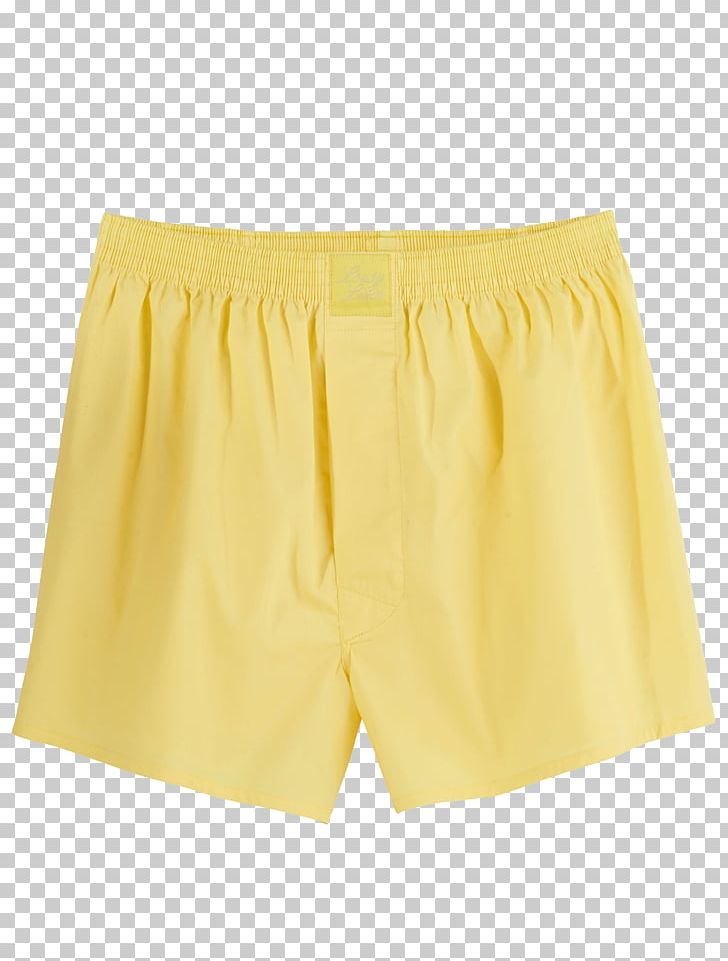 Trunks Underpants Waist Shorts Swimsuit PNG, Clipart, Active Shorts, Miscellaneous, Others, Shorts, Swimsuit Free PNG Download