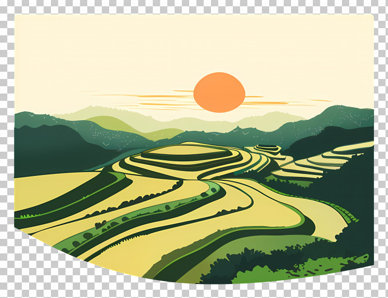 Rice Paddy - Terraced Fields At Sunset PNG