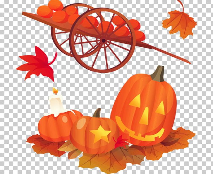 Halloween Pumpkin Jack-o-lantern PNG, Clipart, Cucurbita, Download, Floral Design, Flower, Flowering Plant Free PNG Download