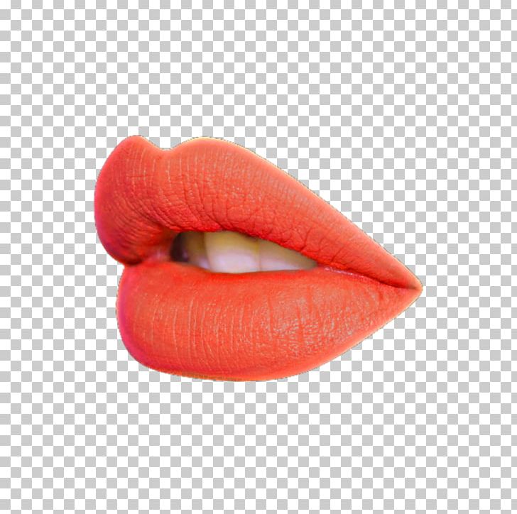 Lipstick Cosmetics Lip Gloss Lip Balm PNG, Clipart, Collagen, Color, Cosmetics, Cream, Face Free PNG Download