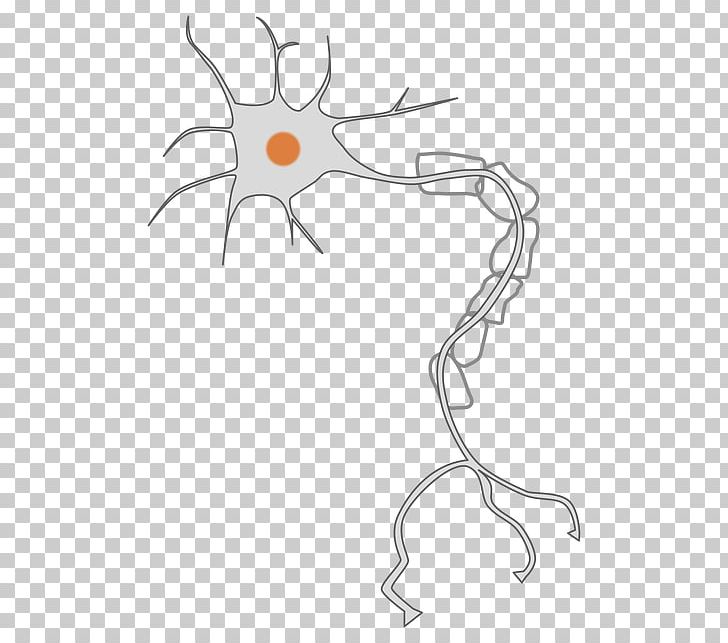 Neuron Nervous System Axon PNG, Clipart, Angle, Area, Arm, Artwork, Axon Free PNG Download