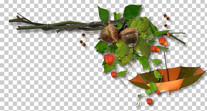 Portable Network Graphics Autumn Photography PNG, Clipart, Autumn, Branch, Drawing, Encapsulated Postscript, Flora Free PNG Download