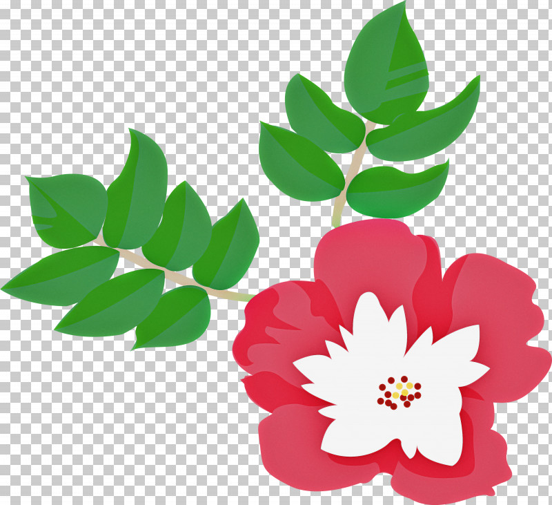 Rose PNG, Clipart, Branch, Flower, Leaf, Petal, Pink Free PNG Download