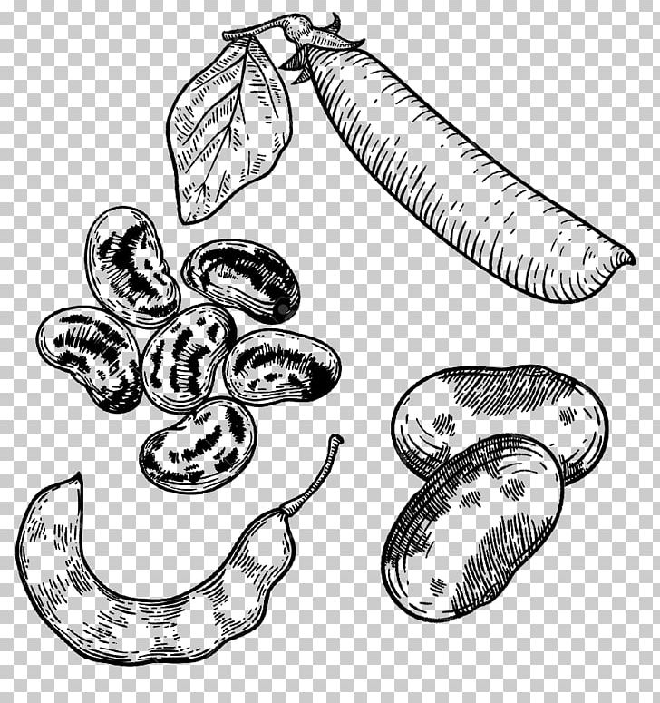 Bean Legume Pea Graphics Drawing PNG, Clipart, Artwork, Bean, Black And White, Body Jewelry, Drawing Free PNG Download