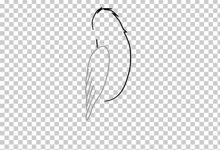 Drawing Line Art /m/02csf PNG
