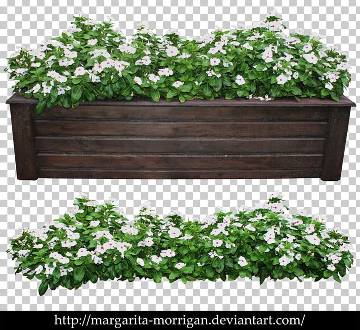 Modern Shrub Rose Flowerpot Plant Tree PNG, Clipart, Evergreen, Flower, Flowerpot, Food Drinks, Garden Free PNG Download