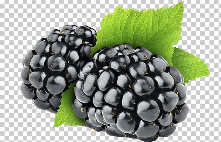 Organic Food Blackberry Berries Fruit Kissel PNG, Clipart, Berry, Bilberry, Blackberry, Blackberry , Blueberry Free PNG Download