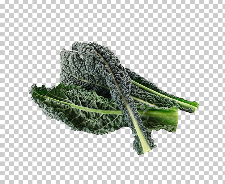 Lacinato Kale Organic Food Leaf Vegetable PNG, Clipart, Brussels Sprout, Cauliflower, Collard Greens, Food Drinks, Herb Free PNG Download