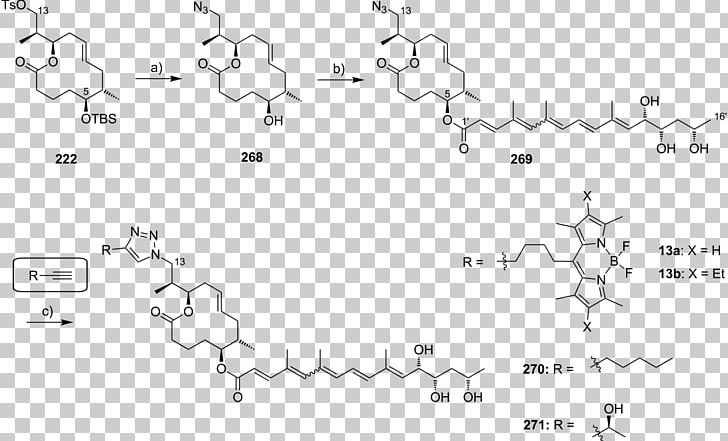 Line Point Angle White Document PNG, Clipart, Angle, Animal, Area, Black And White, Chemical Reagents Free PNG Download