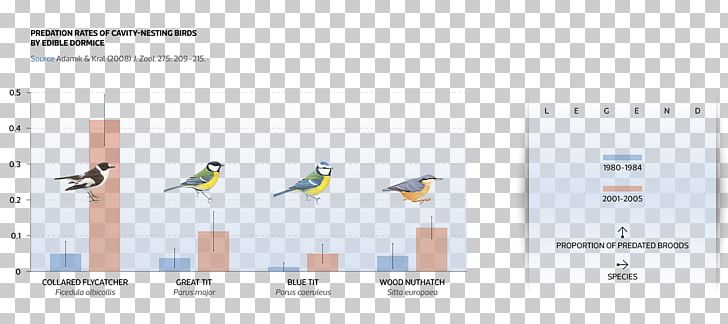 Bird Climate Change Chart European Pied Flycatcher Global Warming PNG, Clipart, Angle, Animals, Annual Cycle, Antarctic Penguins, Area Free PNG Download