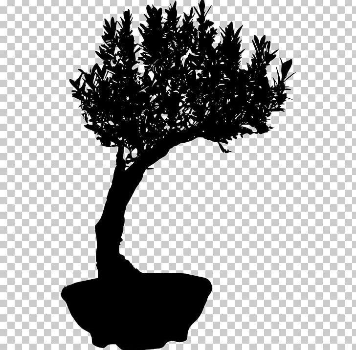 Bonsai Silhouette Chinese Sweet Plum PNG, Clipart, Animals, Background, Black And White, Bonsai, Branch Free PNG Download