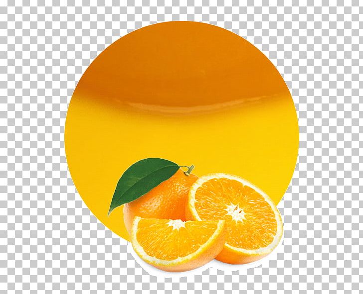 Clementine Orange Juice Vegetarian Cuisine PNG, Clipart, Bitter Orange, Blood Orange, Citric Acid, Citrus, Clementine Free PNG Download