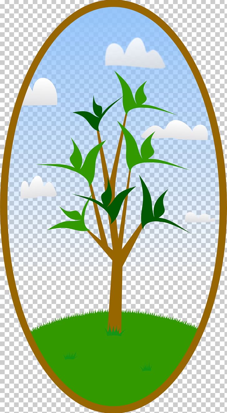 Landscape PNG, Clipart, Area, Artwork, Branch, Coconut Tree, Commodity Free PNG Download
