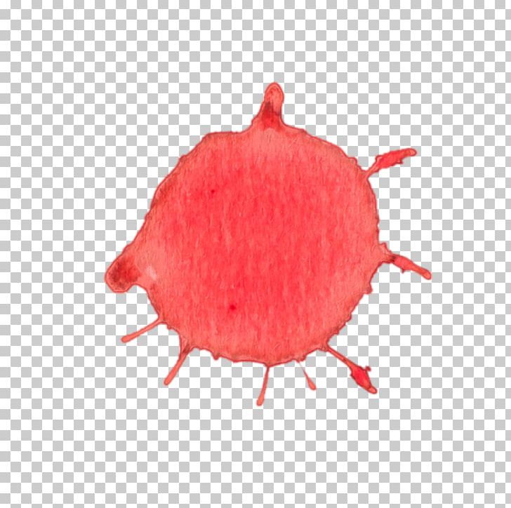 Organism PNG, Clipart, Blood Texture, Organism, Others, Pink, Red Free PNG Download