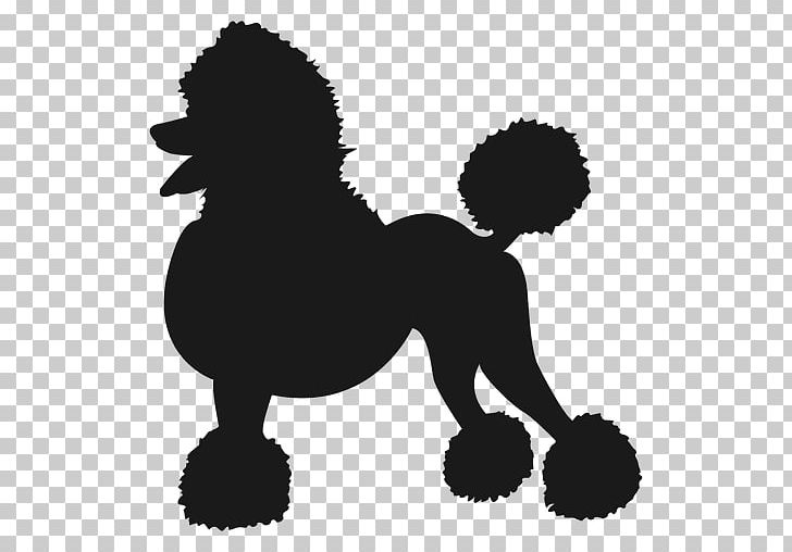 Standard Poodle Miniature Pinscher Miniature Schnauzer German Pinscher PNG, Clipart, Animals, Black, Black And White, Carnivoran, Dog Free PNG Download