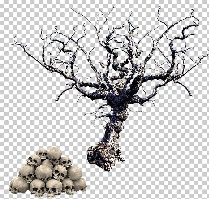 Tree Trunk PNG, Clipart, Advertising, Autumn Tree, Black And White, Branch, Christmas Tree Free PNG Download