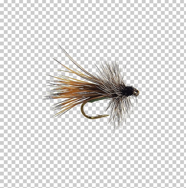 Apple Elk Hair Caddis Caddisflies Artificial Fly Dry Fly Fishing PNG, Clipart, Apple, Artificial Fly, Dry Fly Fishing, Elk Hair Caddis, Fishing Bait Free PNG Download