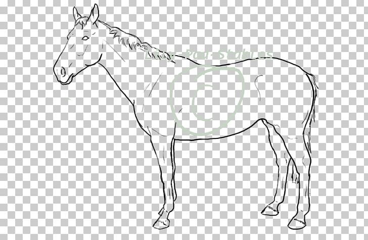 Mule Foal Mustang Colt Rein PNG, Clipart,  Free PNG Download