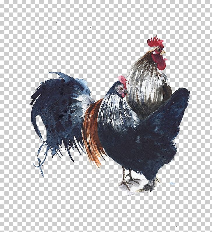 Rooster Chicken Bird Watercolor Painting Illustration PNG, Clipart, Animal, Animals, Background Black, Beak, Big Free PNG Download