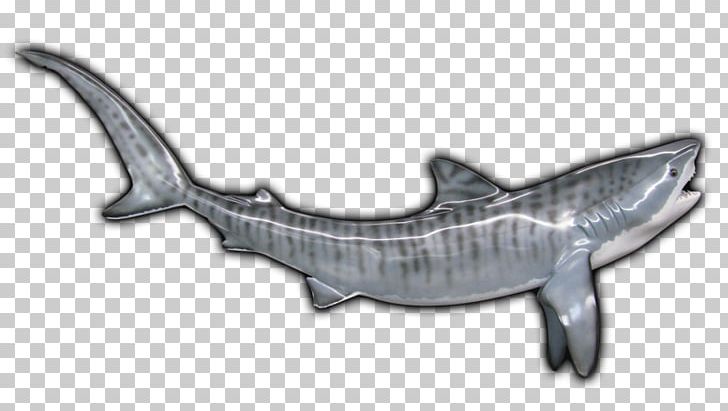 Tiger Shark Requiem Sharks Marine Mammal PNG, Clipart, Animal, Animal Figure, Carcharhiniformes, Cartilaginous Fish, Fauna Free PNG Download