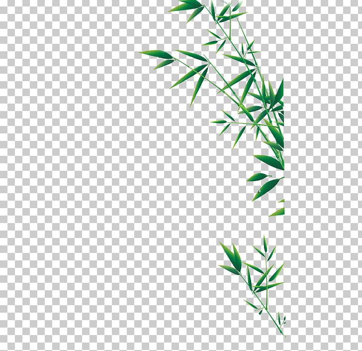Green Bamboo PNG, Clipart, Angle, Area, Background Green, Bamboo, Bamboo And Chrysanthemum Free PNG Download