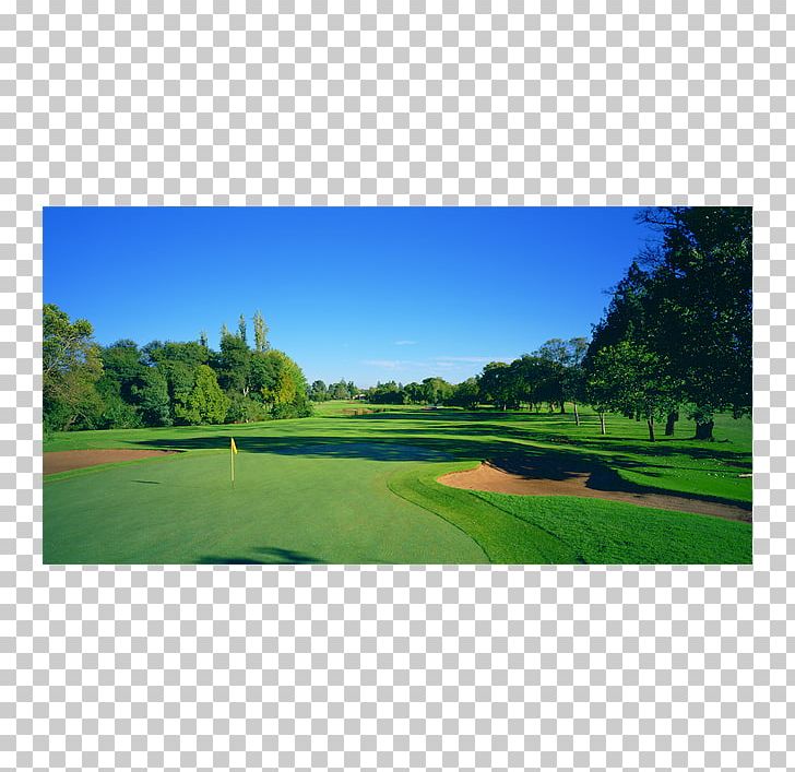 Pretoria Golf Course Zwartkop Country Club PNG, Clipart, Akasia, Country Club, Field, Gauteng, Golf Free PNG Download