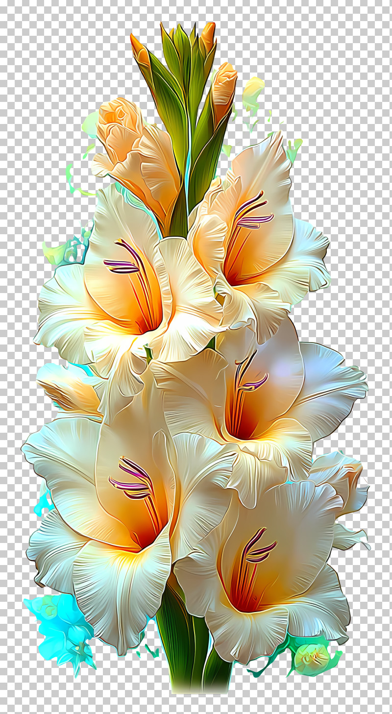 Radiant Flower Art - White Gladiolus Floral Illustration PNG