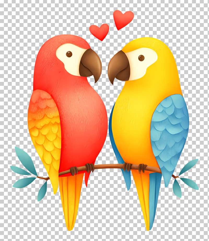 Two Colorful Parrots In Love PNG
