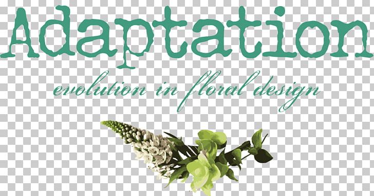 Adaptation Graphics Leaf Flower PNG, Clipart, Adaptation, Brand, Flora, Floral Design, Flower Free PNG Download