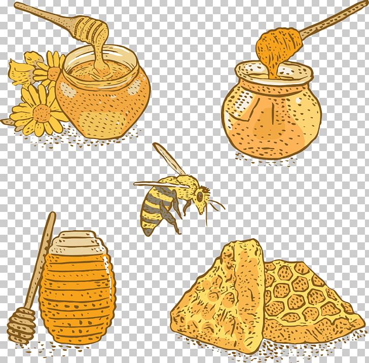 Bee Honey Apis Florea PNG, Clipart, Bee, Commodity, Craft Vector, Download, Euclidean Vector Free PNG Download