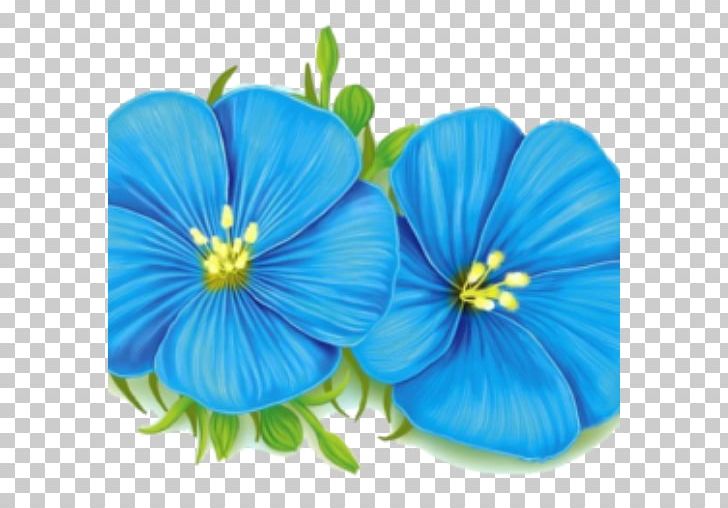 Flax Linum Perenne Plants Acid Gras Omega-3 Seed PNG, Clipart, 1993, 2002, Annual Plant, Blue, Drawing Free PNG Download