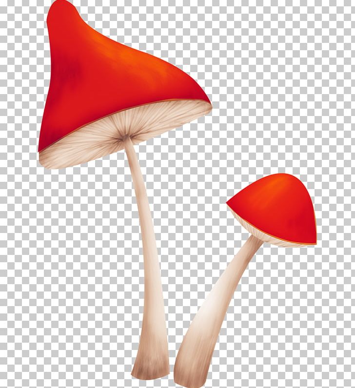 Mushroom Fungus PNG, Clipart, Creative Ads, Creative Artwork, Creative Background, Creative Graphics, Creative Logo Design Free PNG Download