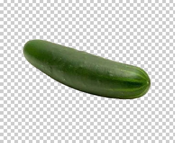 Pickled Cucumber Vegetable Fruit Seed PNG, Clipart, Avocado, Common Plum, Cucumber, Cucumber Gourd And Melon Family, Cucumis Free PNG Download