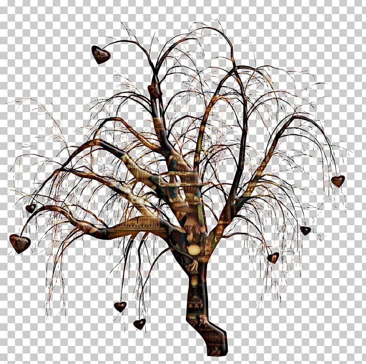 Tree Branch PNG, Clipart, Abstract, Art, Branch, Download, Flora Free PNG Download