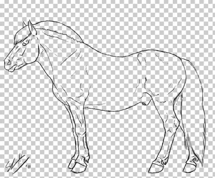 Fjord Horse Line Art Drawing Mule PNG, Clipart, Artwork, Black And White, Bridle, Color, Colt Free PNG Download