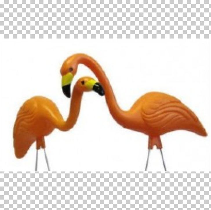 Flamingo The Home Depot Female Beak PNG, Clipart, Animals, Beak, Bird, D3corp, Female Free PNG Download