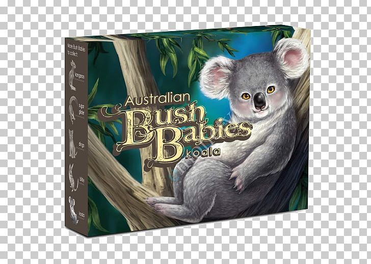 Koala Fauna Snout PNG, Clipart, Animals, Bush Baby, Fauna, Koala, Mammal Free PNG Download