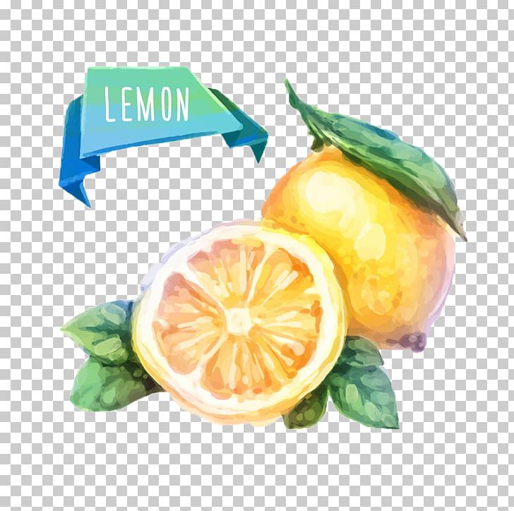 Watercolor Painting Fruit Drawing Illustration PNG, Clipart, Bitter Orange, Citric Acid, Citron, Citrus, Diet Food Free PNG Download