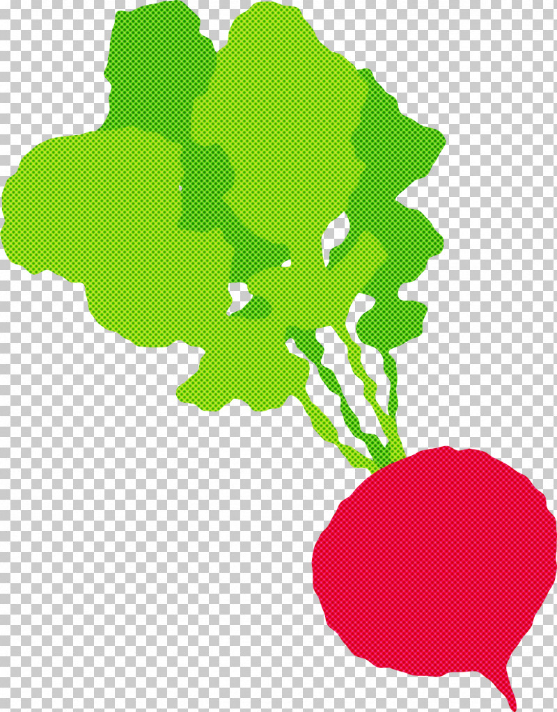 Radish PNG, Clipart, Branch, Flower, Green, Green Tea, Landscape Painting Free PNG Download