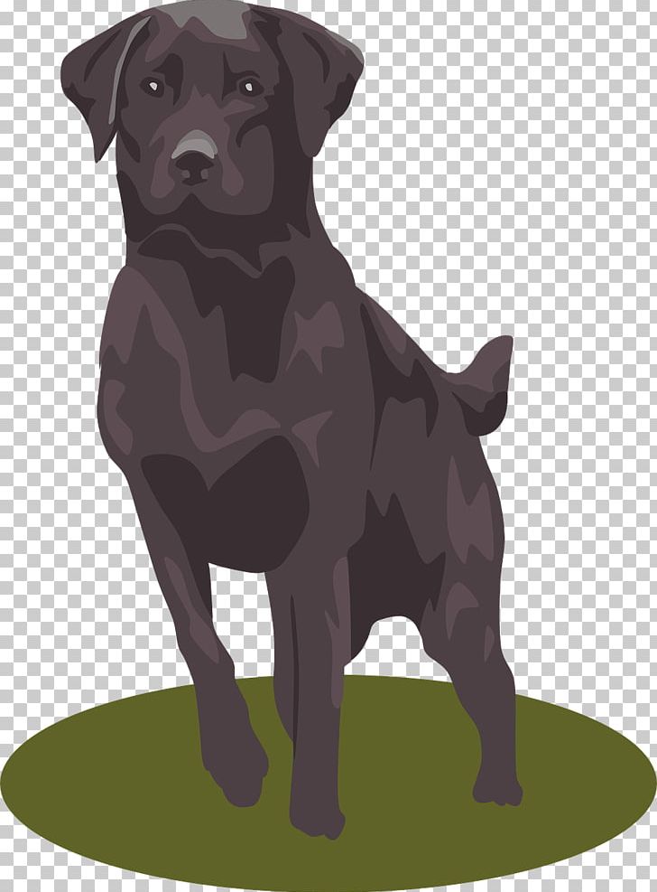 Labrador Retriever Puppy PNG, Clipart, Animal, Animals, Background Black, Black, Black Background Free PNG Download