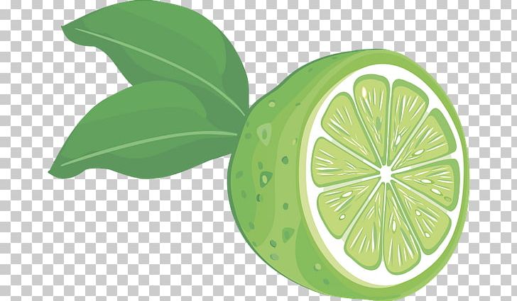 Lemon Fruit PNG, Clipart, Citric Acid, Citrus, Food, Fruit, Fruit Curd Free PNG Download