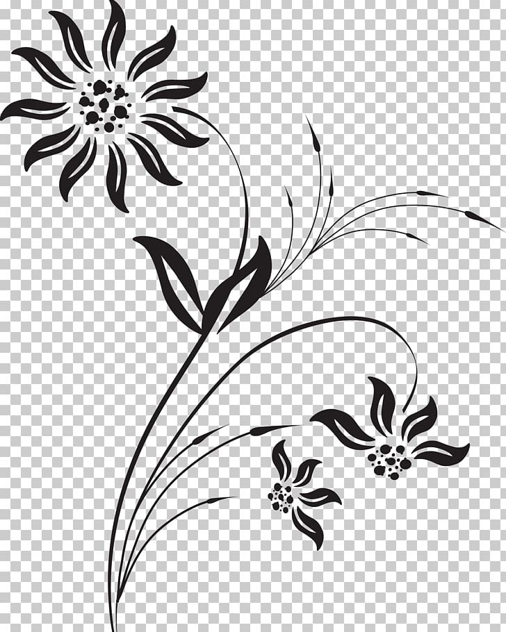 Plants Trivia Drawing Cartoon PNG, Clipart, Black, Black And White, Branch, Download, Flower Free PNG Download