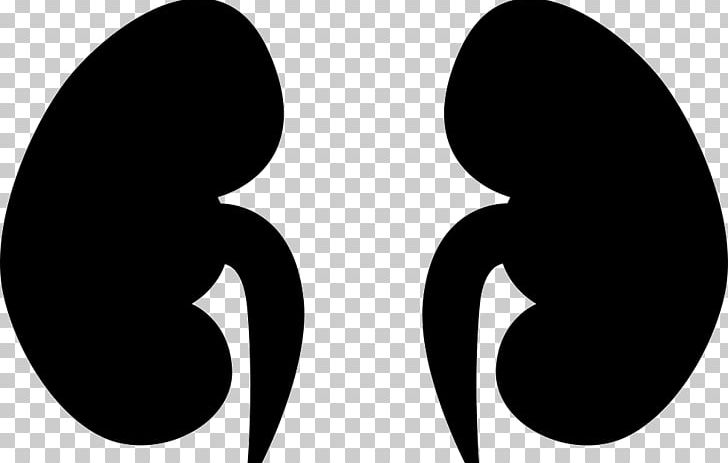 Kidney Computer Icons PNG, Clipart, Black And White, Cdr, Circle, Computer Font, Computer Icons Free PNG Download