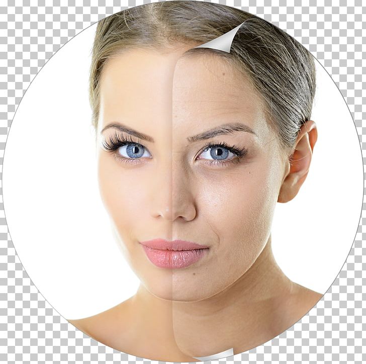 Anti-aging Cream Ageing Wrinkle Life Extension Therapy PNG, Clipart, Aesthetic Medicine, Ageing, Anti Aging Cream, Antiaging Cream, Beauty Free PNG Download