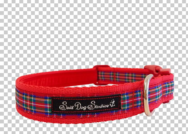 Dog Collar Cat Stripe PNG, Clipart, Animals, Cat, Collar, Collars, Dog Free PNG Download