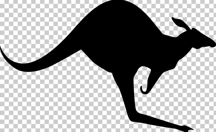 Kangaroo Pixabay PNG, Clipart, Animal, Animals, Australia, Black, Black And White Free PNG Download