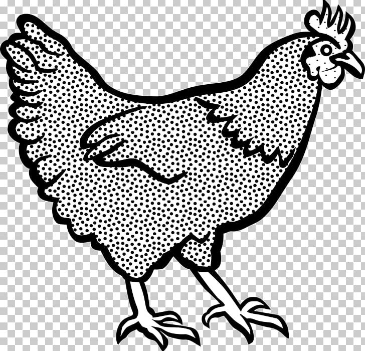 Cochin Chicken Dorking Chicken PNG, Clipart, Animals, Area, Art, Bantam, Beak Free PNG Download