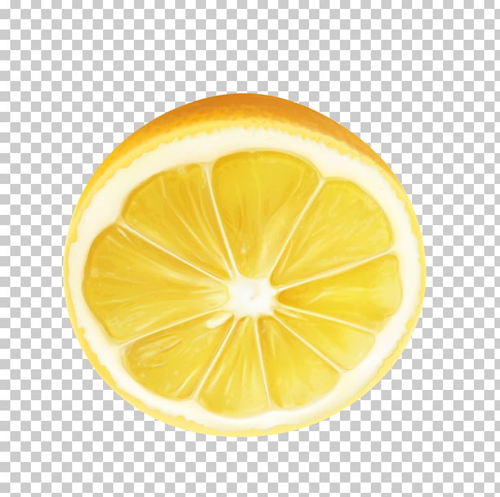 Meyer Lemon Citron Key Lime Lemonade PNG, Clipart, Citrus, Euclidean Vector, Food, Fruit, Fruit Nut Free PNG Download