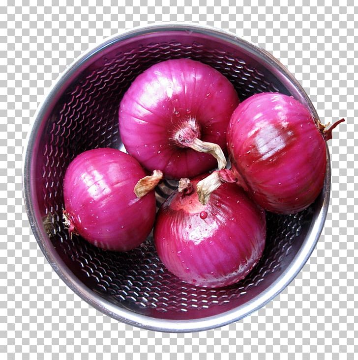 Red Onion Shallot Yellow Onion Free Onion PNG, Clipart, Android, Apple, Download, Encapsulated Postscript, Flower Pot Free PNG Download