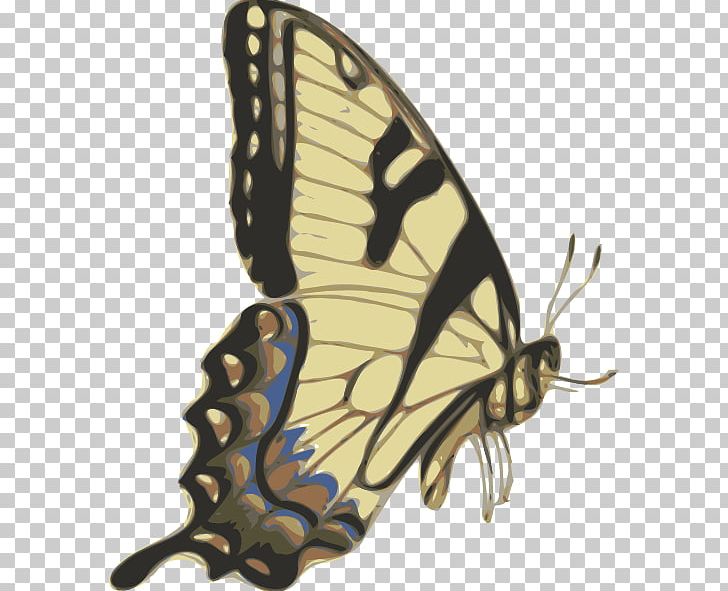 Monarch Butterfly Moth Brush-footed Butterflies Tiger Milkweed Butterflies PNG, Clipart, Arthropod, Brush Footed Butterflies, Brush Footed Butterfly, Butterfly, Insect Free PNG Download
